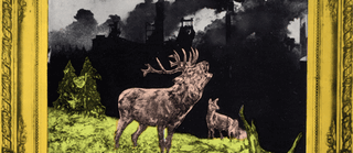 "Es röhrt zum Himmel" (extracto) de Klaus Staeck