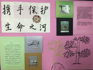 Umweltposter von Schülerinnen und Schülern der Yueyang Fremdsprachenschule
