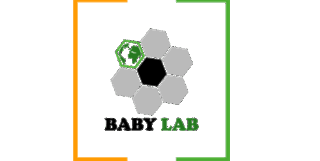 Workshop Baby Lab