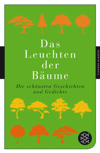 Das Leuchten der Bäume
