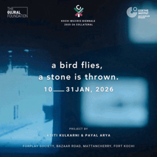 a bird flies, a stone is thrown