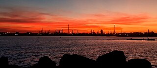 Expeditions in a specific territory 05