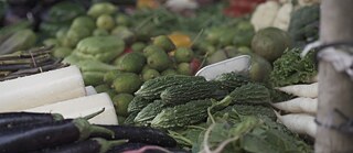  Location: CR Park Market No 1 <br>Fresh vegetables for Shukto