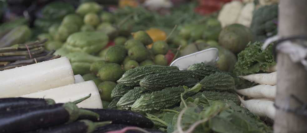  Location: CR Park Market No 1 <br>Fresh vegetables for Shukto
