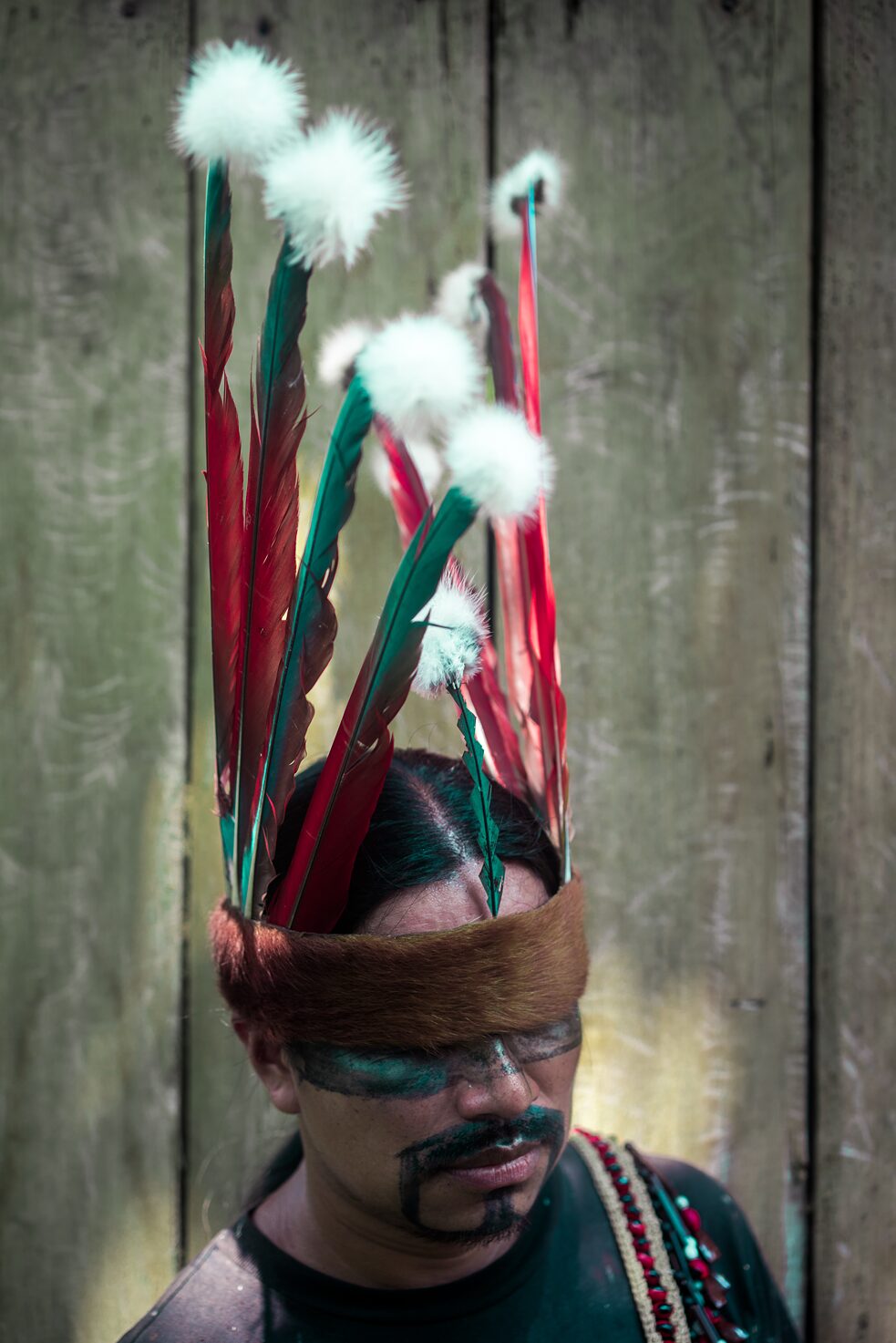2017. Eriberto Gualinga acomoda seu cocar antes das festividades de Uyantza Raymi. Antes desta celebração, que acontece uma vez a cada três anos, os homens se aprofundam na selva para caçar. Eles tiram da floresta apenas o que é necessário para sua subsistência e aproveitam tudo o que caçam: comem a carne, usam a pele para tambores e roupas e usam a pele e as penas como vestimentas.