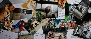 Vorbereitende Fotomontage des Projekts Simba Mbili: Mögliche Geschichten der Menschenfresser von Tsavo | © Sam Hopkins und Marian Nur Goni