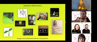 Screenshot from the “Berlin: Black Swan DAO” Zoom online session, 28 January 2020