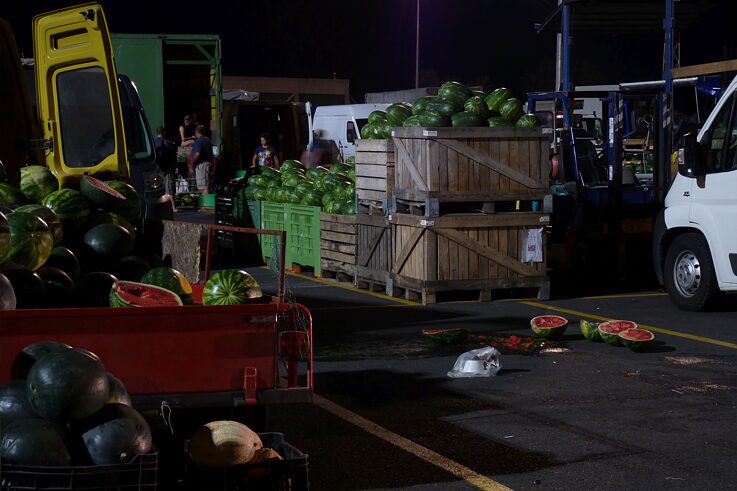 I like being a farmer and I would like to stay one 