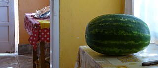 I like being a farmer and I would like to stay one 