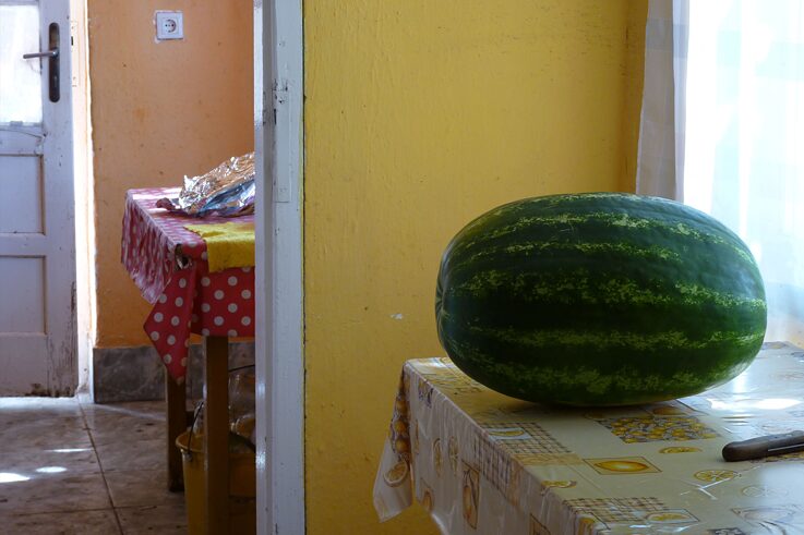 I like being a farmer and I would like to stay one 