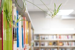 Pflanzen und Bücher