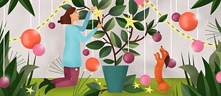 Grüne Weihnachten - der Goethe Adventskalender 2019