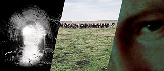 The Tactical Gardens Screening Collage