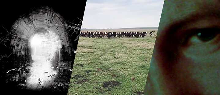 The Tactical Gardens Screening Collage