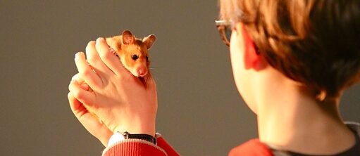 Спасите Раффи!