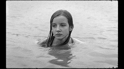 La maleza satánica &copy; © Willy Hans La maleza satánica