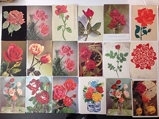 Postcards for Angela Davis