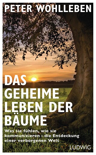 Das geheime Leben der Bäume - Hauptseite, deutsche Version © © Ludwig Verlag „Das geheime Leben der Bäume“ von Peter Wohlleben - Hauptseite, deutsche Version