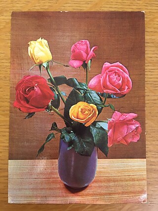 Postcards for Angela Davis