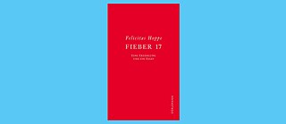 Book cover: Fieber 17
