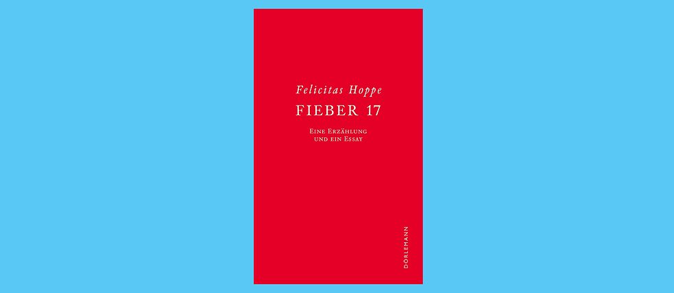 Buchcover: Fieber 17