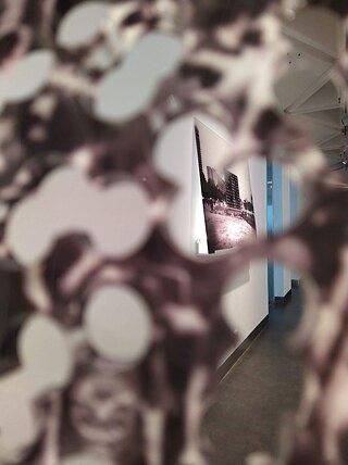 Unreasonable Behaviour5