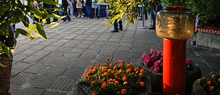 Goethe-Institut Moskau. Sommerfest