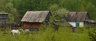 Während ihrer zweiten Reise nach Sibirien, im Jahr 2003, erreicht Karin das kleine Dorf Srednjaja Oljokma, in das sie sich sofort verliebt. 