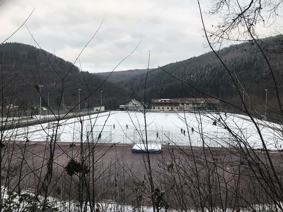 Rink