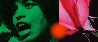 1 Million Roses for Angela Davis Key Visual