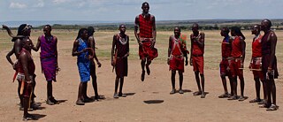 13 männliche Maasai-Stammesangehörige im Masai Mara National Reserve stehen im Halbkreis, einer von ihnen in der Mitte des Bildes springt kniehoch in die Luft. 