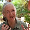 Jane Goodall