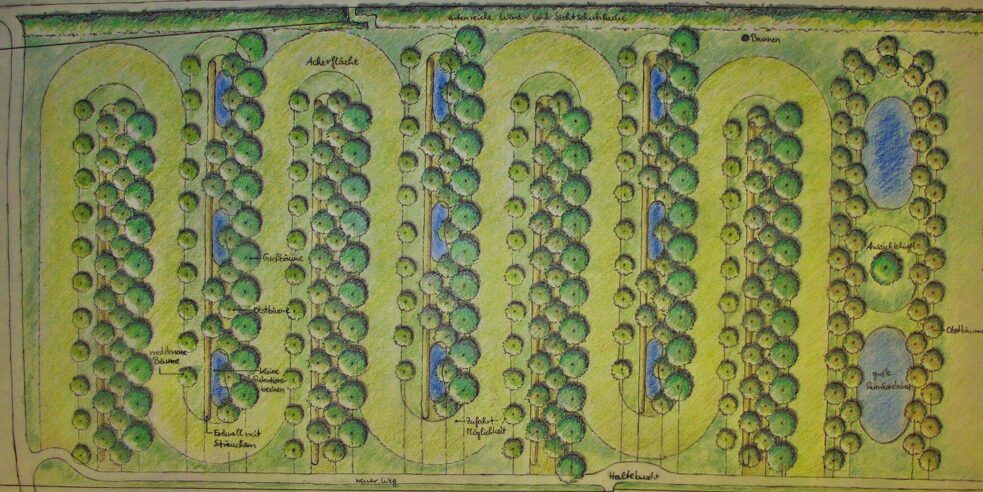 Dieser Entwurf zeigt, wie ein großes Feld mit Permakultur angelegt sein könnte.