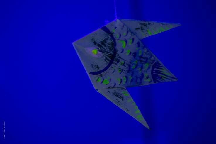 Goethe-Découverrte - Fokam23