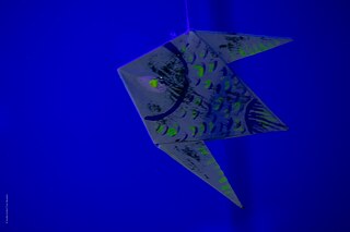 Goethe-Découverrte - Fokam23