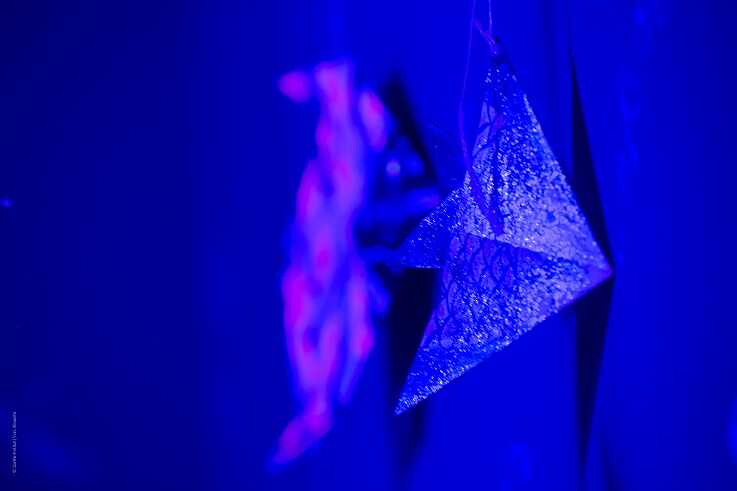 Goethe-Découverrte - Fokam24