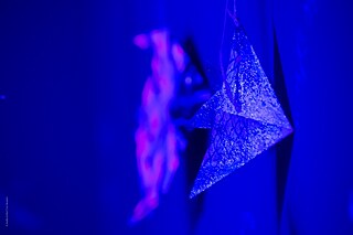 Goethe-Découverrte - Fokam24