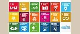 SDG Kartenset
