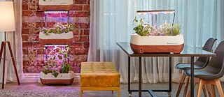 Altifarm / Herbstation