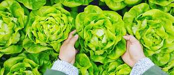Salat