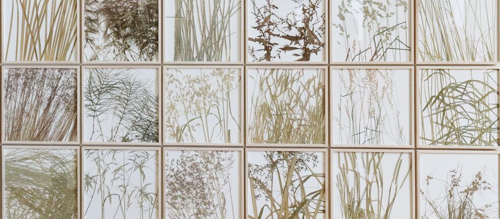 荷蘭人赫爾曼．德．弗里斯以落在腳邊的土壤和樹葉創作：《二○○七年，四十種植被草》（40 Gräser der Vegetation von 2007）細部，「赫爾曼．德．弗里斯所有、所有、所有作品，一九五七……」