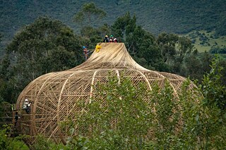 School of Lost Knowledge