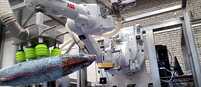 Ein KI Roboter sortiert Fisch