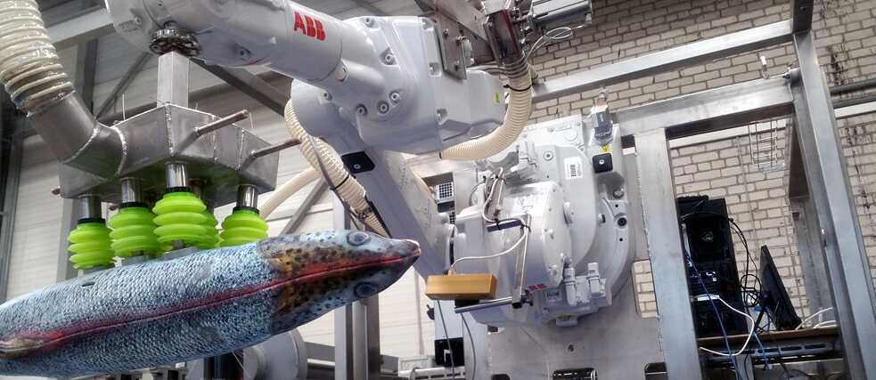Ein KI Roboter sortiert Fisch