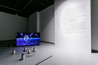 Alexiety / !Mediengruppe Bitnik