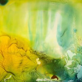 Maria Giovanna Drago