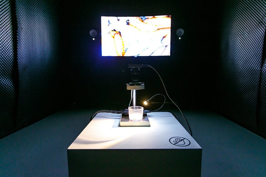 Sergey Kostyrko  / „Cheese with Mads“. Experimental Music and Art Expo 2021