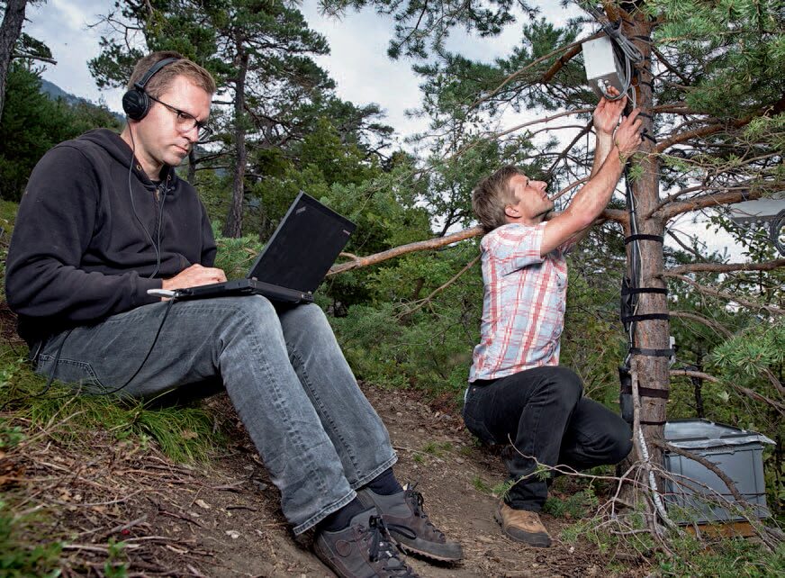 Der Klangkünstler und Forscher Marcus Maeder sitzt mit Kopfhörern auf dem Waldboden und arbeitet an einem Laptop. Rechts von ihm überprüft der Ökophysiologe Roman Zweifel ein Messgerät an einem Baumstamm. 