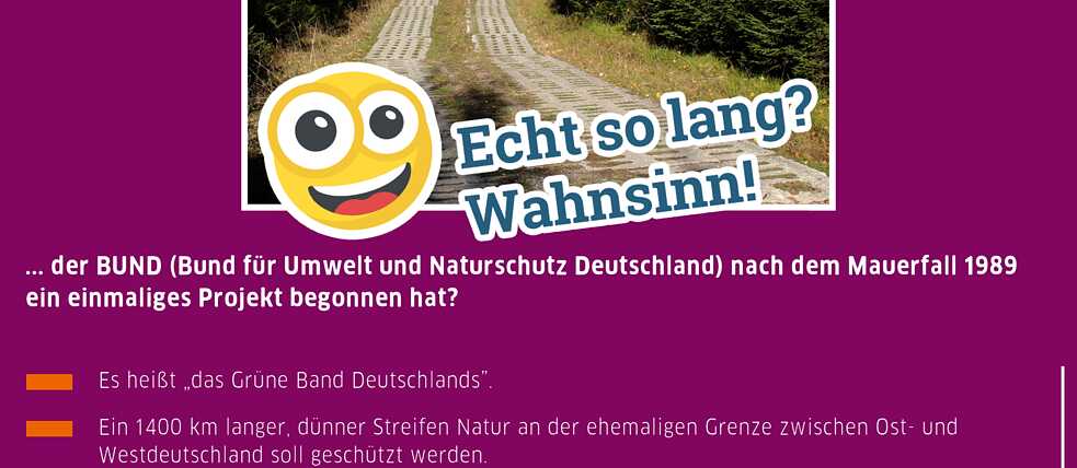 Beispiel Übungsformate 