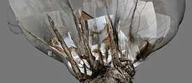 Artwork Sarah Wenzinger und Alla Popp